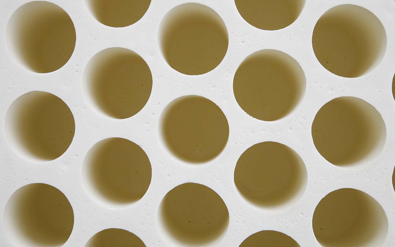 Liena LA Dome 15 см фото 5